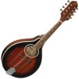 Ortega RMA10MHS Vintage Sunburst Thumbnail 1