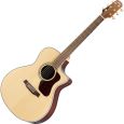 Walden Concorda CG600 CE EQ Westerngitarre inkl. Gigbag Thumbnail 1