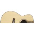 Walden Concorda CG600 CE EQ Westerngitarre inkl. Gigbag Thumbnail 3