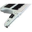 Roland AX 5 Umhänge Synthesizer Thumbnail 2