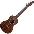 Fender Tenor Ukulele Pa'ina Thumbnail 1