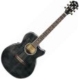 Ibanez AEG20E-TG Westerngitarre Thumbnail 1