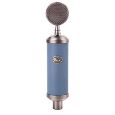 Blue Bluebird Thumbnail 1