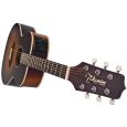 Takamine EG5013 SVFT Thumbnail 2