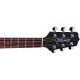 Takamine EG260C NAT Thumbnail 5