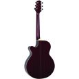 Takamine EG260C WR Thumbnail 2