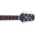 Takamine EG260C WR Thumbnail 5