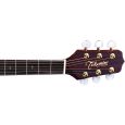 Takamine EG540C SSC Thumbnail 5
