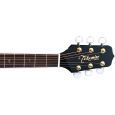 Takamine EG541SSC Black Gloss Thumbnail 5
