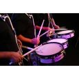 Roland RMP 12 Thumbnail 3
