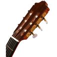Alhambra Cutaway 6P-CW-E2 Thumbnail 3
