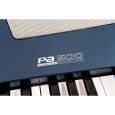 Korg Pa500 Türkey Thumbnail 4