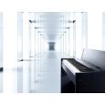 Casio Privia PX-830 BK Schwarz Thumbnail 9