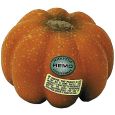 Remo Vegetable Shaker Brauner Kürbis Thumbnail 1