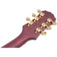 Epiphone SG Custom Prophecy GX Thumbnail 7