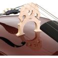 Menzel CL501 Cello-Set 3/4 Thumbnail 5