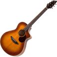 BREEDLOVE Passport Plus Concert C250SF Thumbnail 1