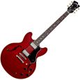 FGN Masterfield Hollowbody CR E-Gitarre inkl. Koffer Thumbnail 1
