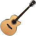 Ibanez AEL10E NT Westerngitarre Thumbnail 1