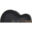 Ibanez AEL20E TKS B-Ware Westerngitarre Thumbnail 3