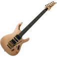 Ibanez EGEN8 PLB Hermann Lee E-Gitarre Thumbnail 1