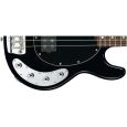 Music Man Sterling StingRay 4 Bass aktiv Black E-Bassgitarre Thumbnail 2