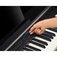 Casio AP-6 BP Limited Edition Thumbnail 4