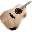 Fender Hot Rod T-Bucket 400CE All Exotic Thumbnail 2