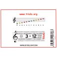 Seydel Triola Liederbuch Bd 4 Thumbnail 2
