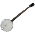 Epiphone MB-100 Banjo NA Thumbnail 1