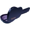 Epiphone Case f. Epi Chet Atkins SST Thumbnail 5
