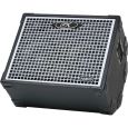 Gallien Krueger NEO 210 Thumbnail 4