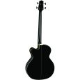 Takamine EGB2S-BK Thumbnail 2
