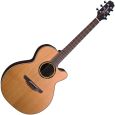 Takamine ETN-40-C NS Thumbnail 1