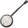 Epiphone MB-200 Banjo RBM Thumbnail 1
