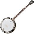 Epiphone MB-250 5-String Banjo RBM Thumbnail 1