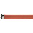 PHILIPS TL D 36W/15 Leuchtstoffröhre ROT Thumbnail 1