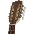Pro Natura Silver Series Mandola Thumbnail 6