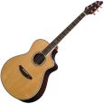 Breedlove Atlas Stage C25/SR Thumbnail 1