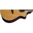 Breedlove Atlas Stage C25/SR Thumbnail 2