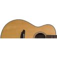 Breedlove Atlas Stage C25/SR Thumbnail 3