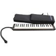 Hammond Melodion Pro-44HP Thumbnail 1
