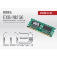 Korg EXB 256MB Sample-RAM Thumbnail 1