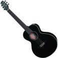 Takamine Takamini EG Mini BK LH Thumbnail 1