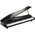 Korg micro PIANO schwarz B-Ware Thumbnail 1