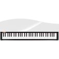 Korg micro PIANO weiß Thumbnail 2