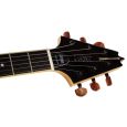Hoyer HEG 330 Arrow Deluxe NAT / Black Thumbnail 4