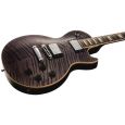 Gibson Chad Kroeger Les Paul Thumbnail 4
