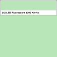 Lee Farbfolie 242 Fluorescent 4300 Kelvin 50cm x 122cm Thumbnail 1