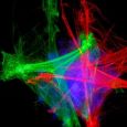 JB Systems Polar Laser Thumbnail 4